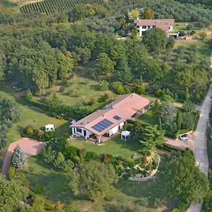 Bed & Breakfast Romy Rocker Mizzole